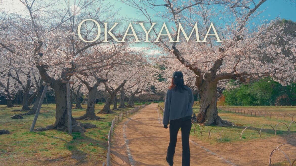 Spring in Okayama – Cherry Blossoms, Castle & Serene Gardens
