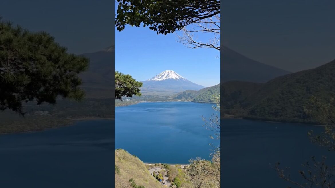 Hidden gem to view Mt Fuji #lakemotosuko #mtfuji #yamanashi