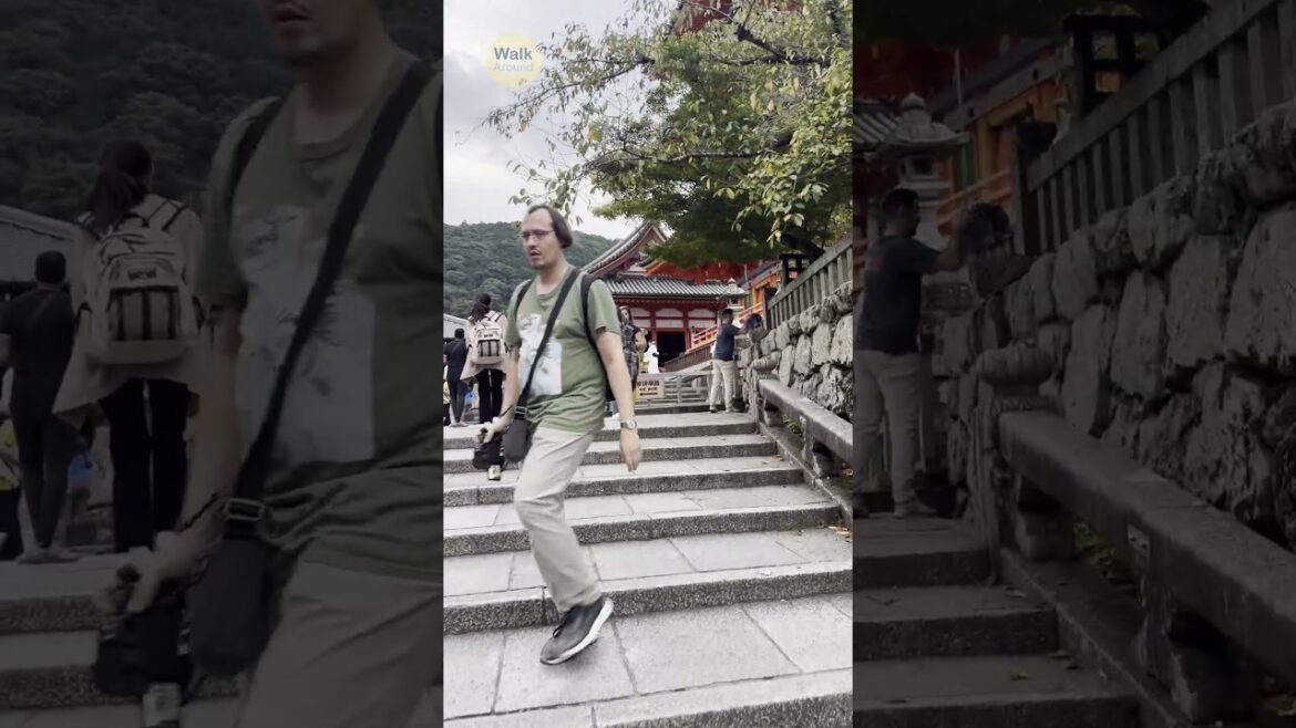 【#Shorts】 Kiyomizu-dera Temple, Kyoto, Japan