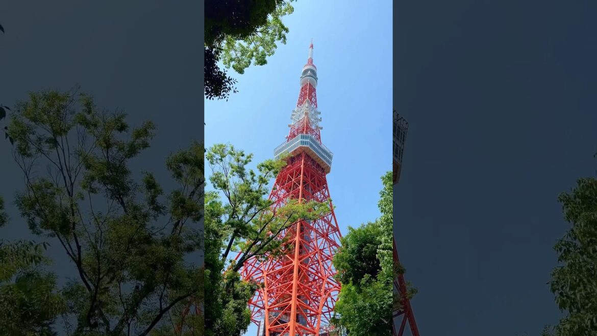 Tokyo Tower. #travelvlog #tokyotower #tokyo #japantravel #japan #traveldestinations
