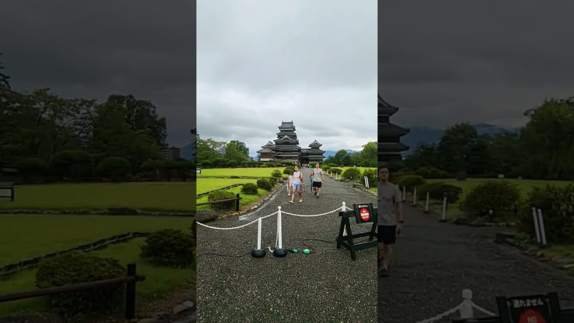 Matsumoto Castle Nagano #tourguiding #japantouristguide #matsumotocastle #naganotravel #alttravels