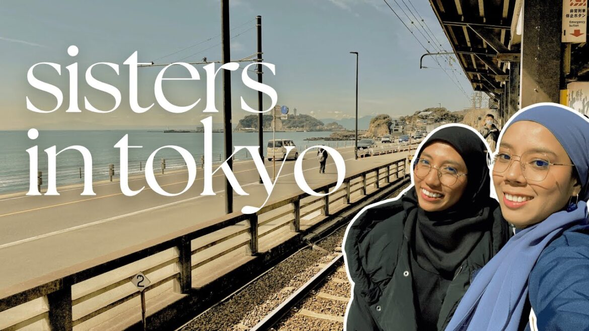 Malaysian Travel Vlog: Tokyo Trip 2024