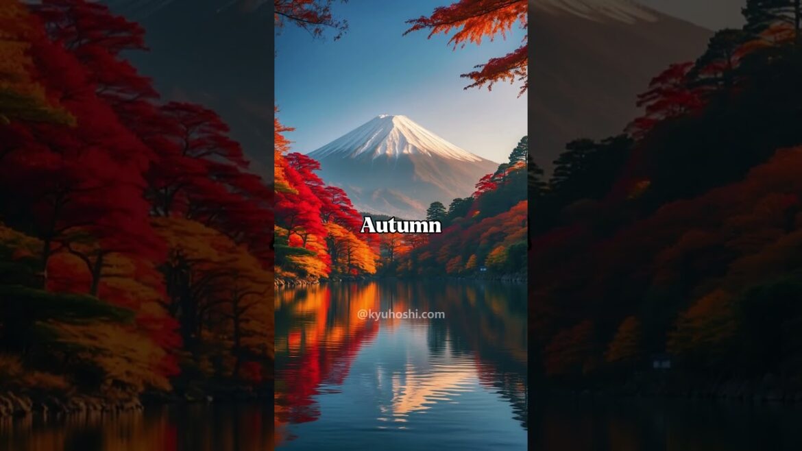 Mount Fuji Through the Four Seasons #japan #japantravel #mtfuji #travel Mount Fuji Through the Four Seasons #japan #japantravel #mtfuji #travel