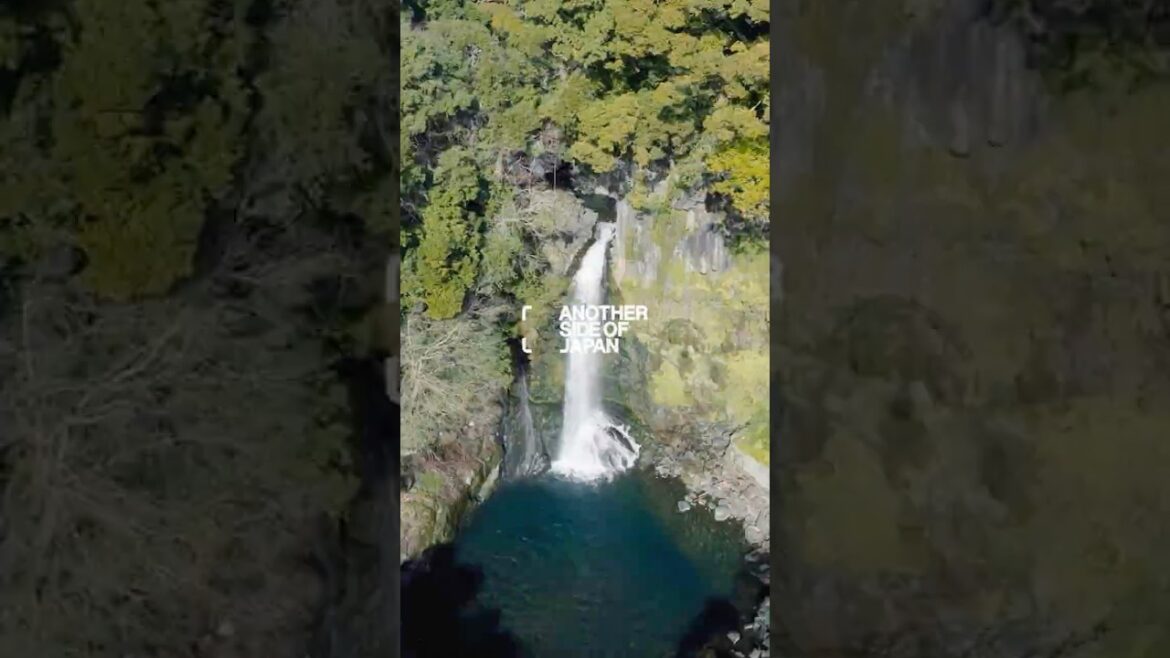 Seven Waterfalls in Kawazu💦  #anothersideofjapan #izutravel #伊豆旅行