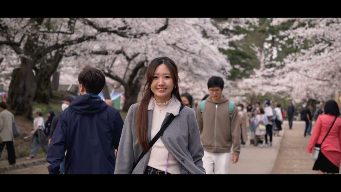 Traveling Tohoku in 2025 - Aomori, Miyagi, Yamagata, Iwate, Akita [Cinematic Vlog]