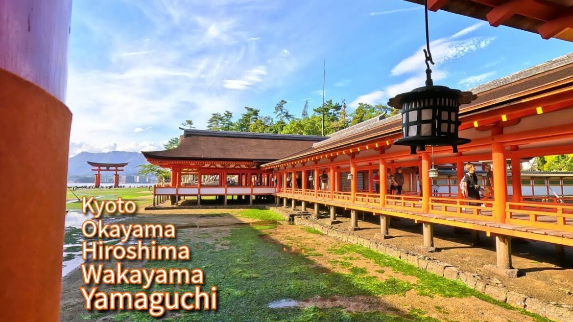 The Serene Experience of Walking in Japan [4K]