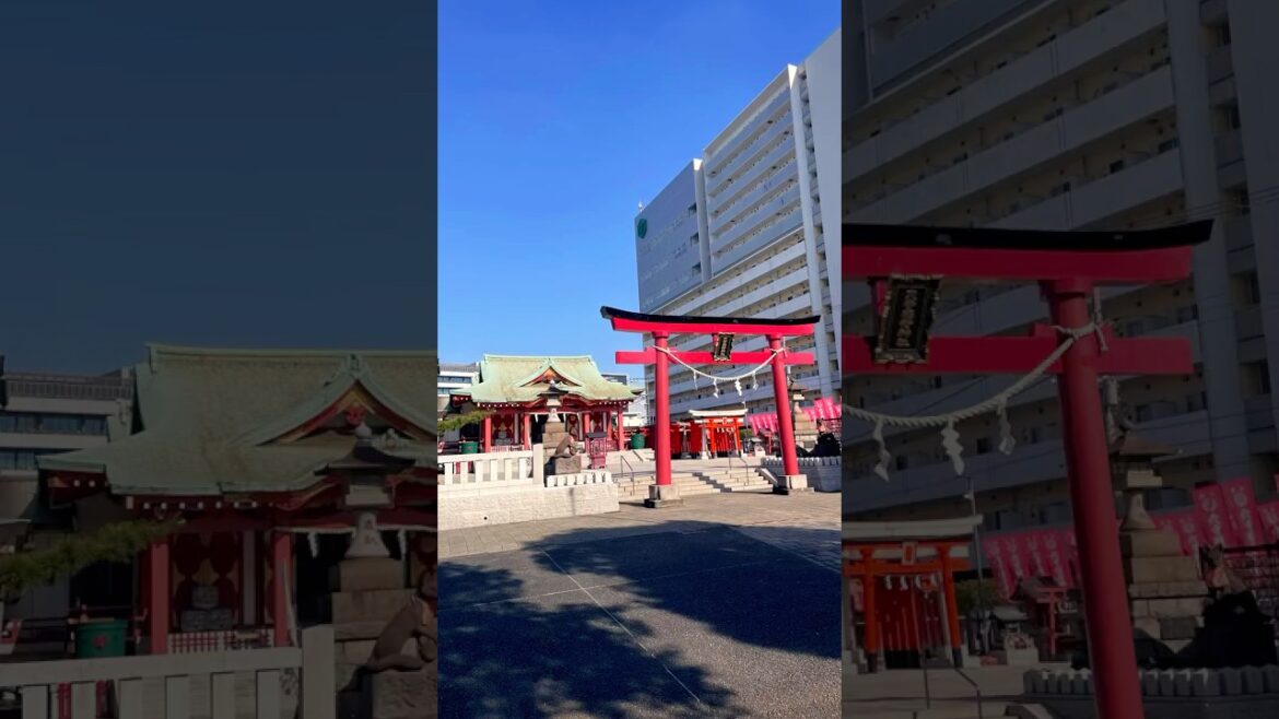 shorts| japan vibe| japan days| travel vlog shorts| japan vibe| japan days| travel vlog