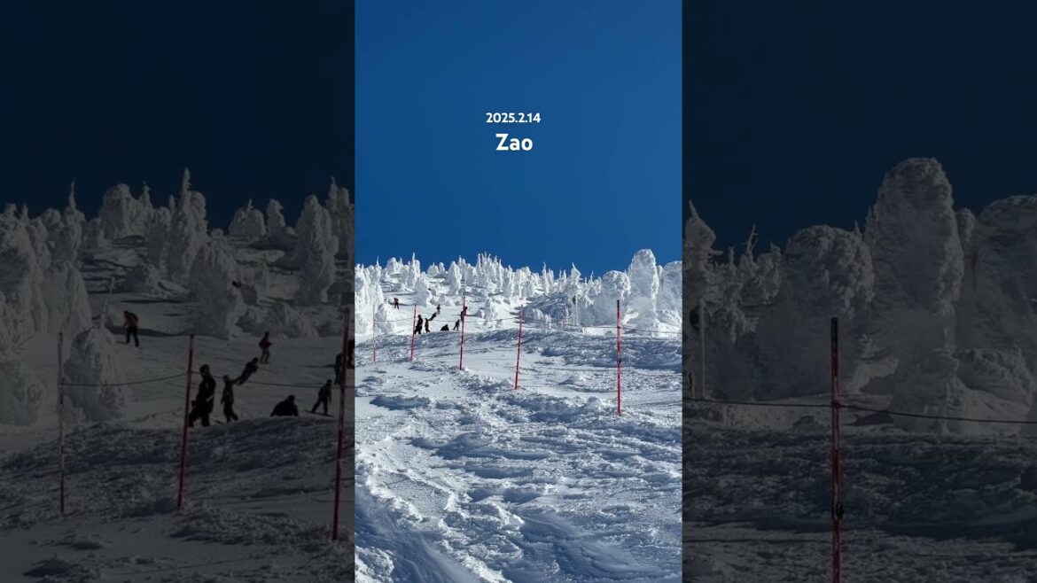 Zao snow  #snowboard #zao #zaoonsen #yamagata