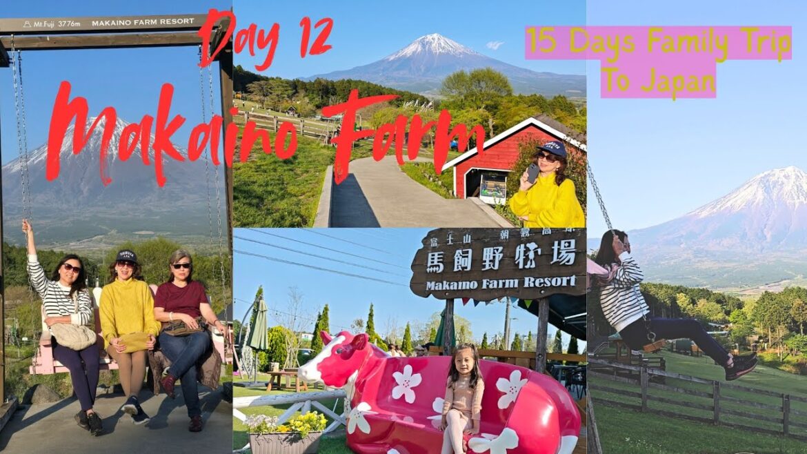 Makaino Farm. Little Swiss of Japan