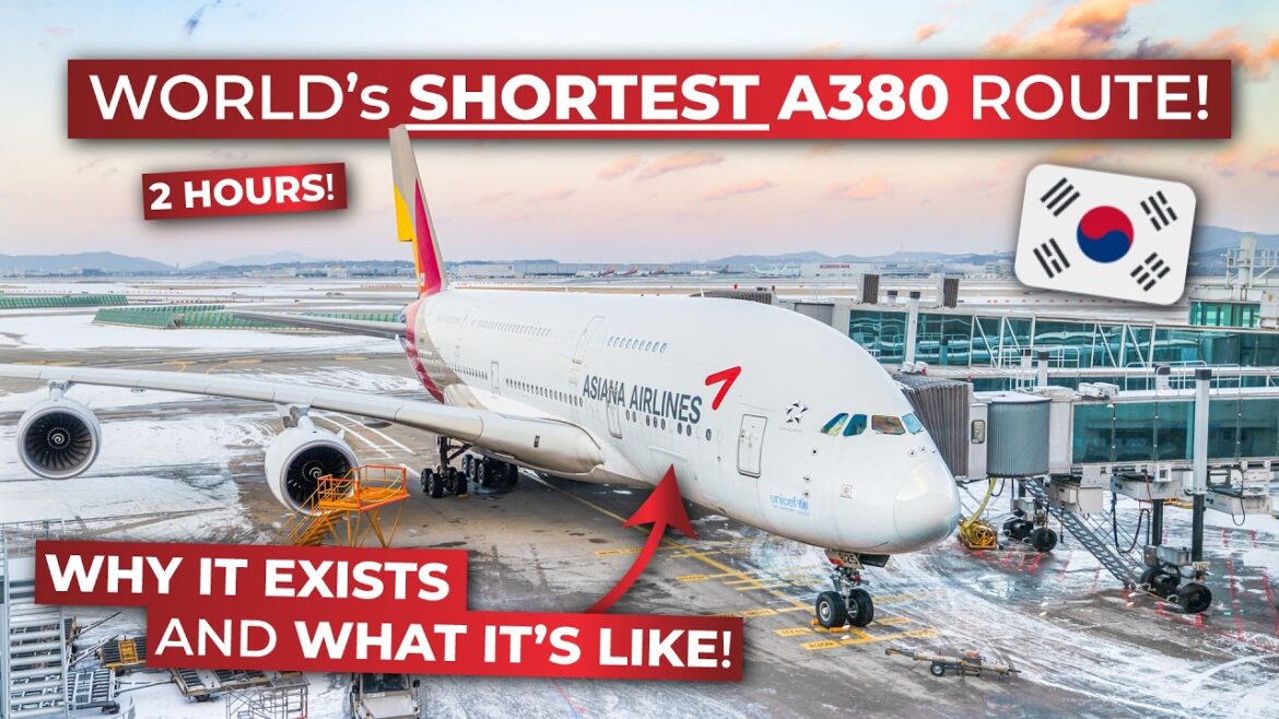 The World’s SHORTEST Airbus A380 flight! | ASIANA Upper Deck ECONOMY Tokyo Narita to Seoul Incheon! The World's SHORTEST Airbus A380 flight! | ASIANA Upper Deck ECONOMY Tokyo Narita to Seoul Incheon!