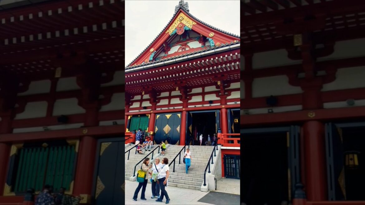 Beautiful Temple in Tokyo 🛕 #shorts #Tokyo #tokyotravel #shrine #japan #japantravel