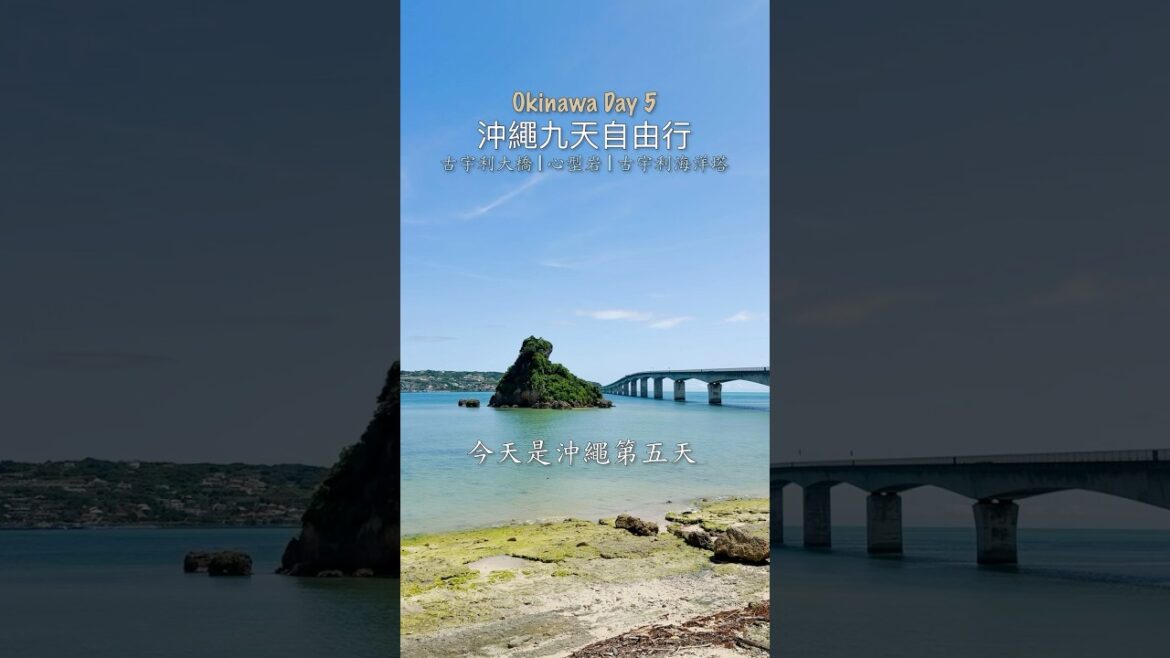 沖繩自由行Day5 #沖繩 #okinawa #youtubeshorts