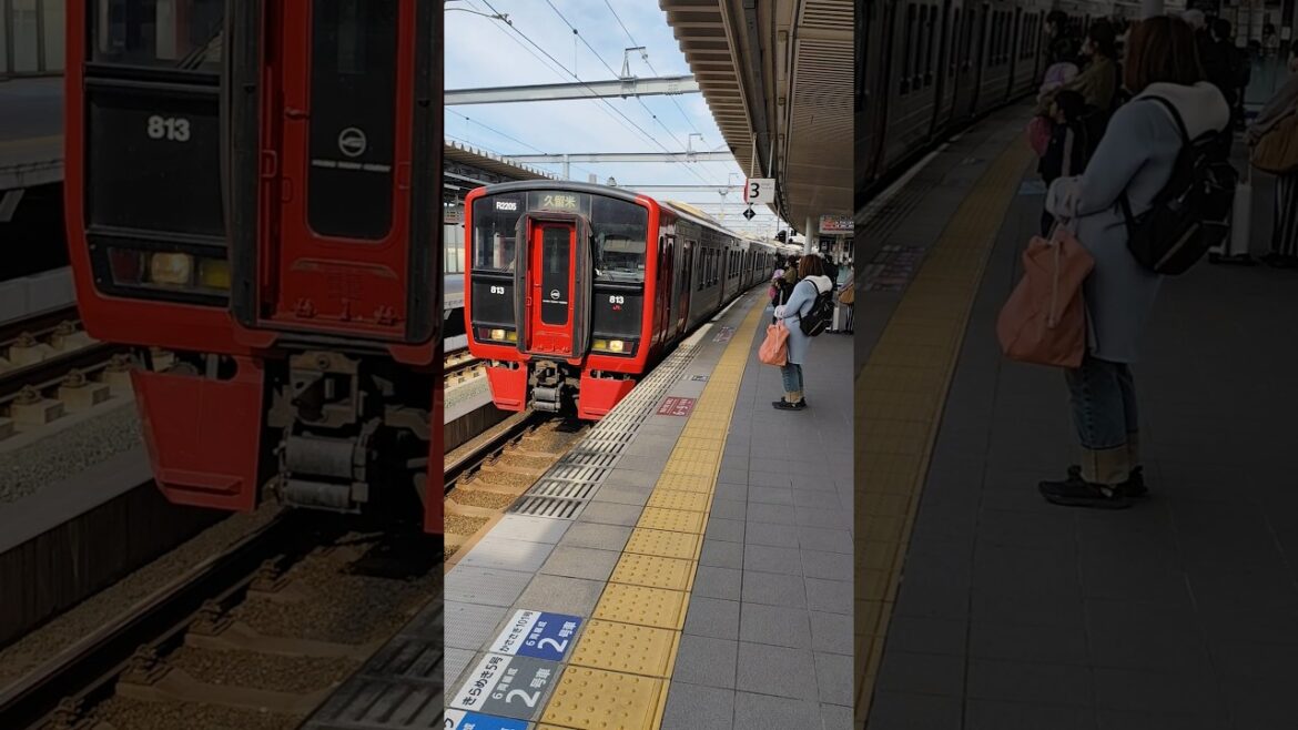 Kitakyushu, Japan 🇯🇵 JR Kyushu train 813 Series #japan #kyushu #fukuoka #japanese #kitakyushu #train