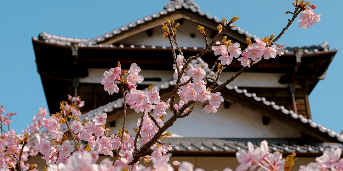 I Planned Our Trip to Japan Almost By Accident I Planned Our Trip to Japan Almost By Accident