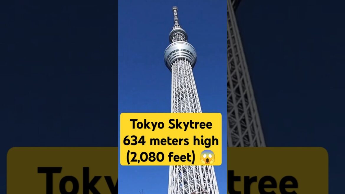 Tokyo Skytree: Would You Go This High? 😲