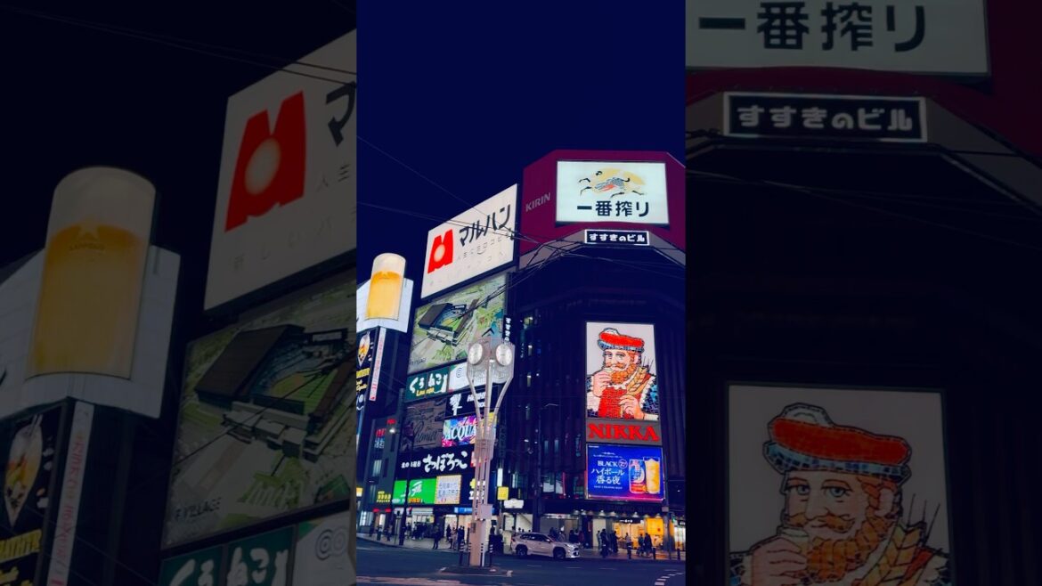 Gorgeous Susukino in Sapporo 🇯🇵 #travel #japan #susukino #sapporo