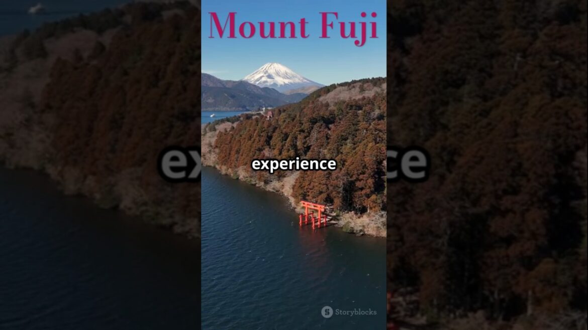 Exploring Lake Saiko at Mount Fuji #himondof #traveljapan #mountfujiview Exploring Lake Saiko at Mount Fuji #himondof #traveljapan #mountfujiview