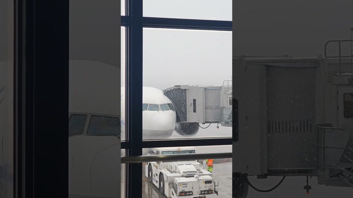 Akita Japan - Lovely snowy day 20240320