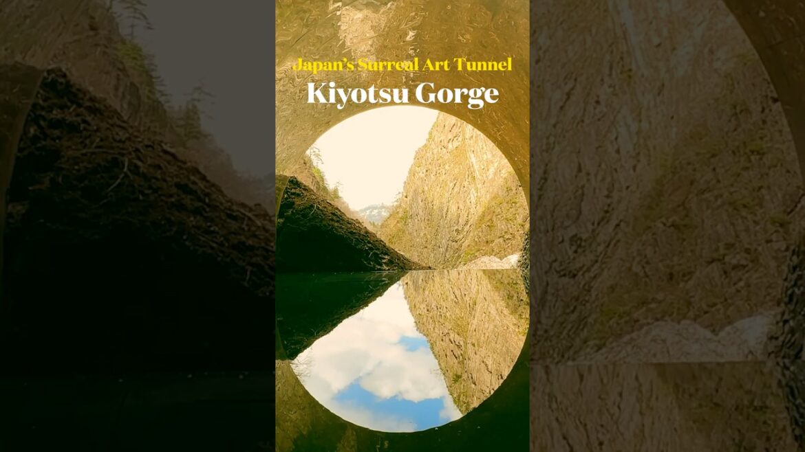 🇯🇵반전 엔딩이 있는 니가타의 터널, #키요츠협곡 #TravelJapan #일본여행