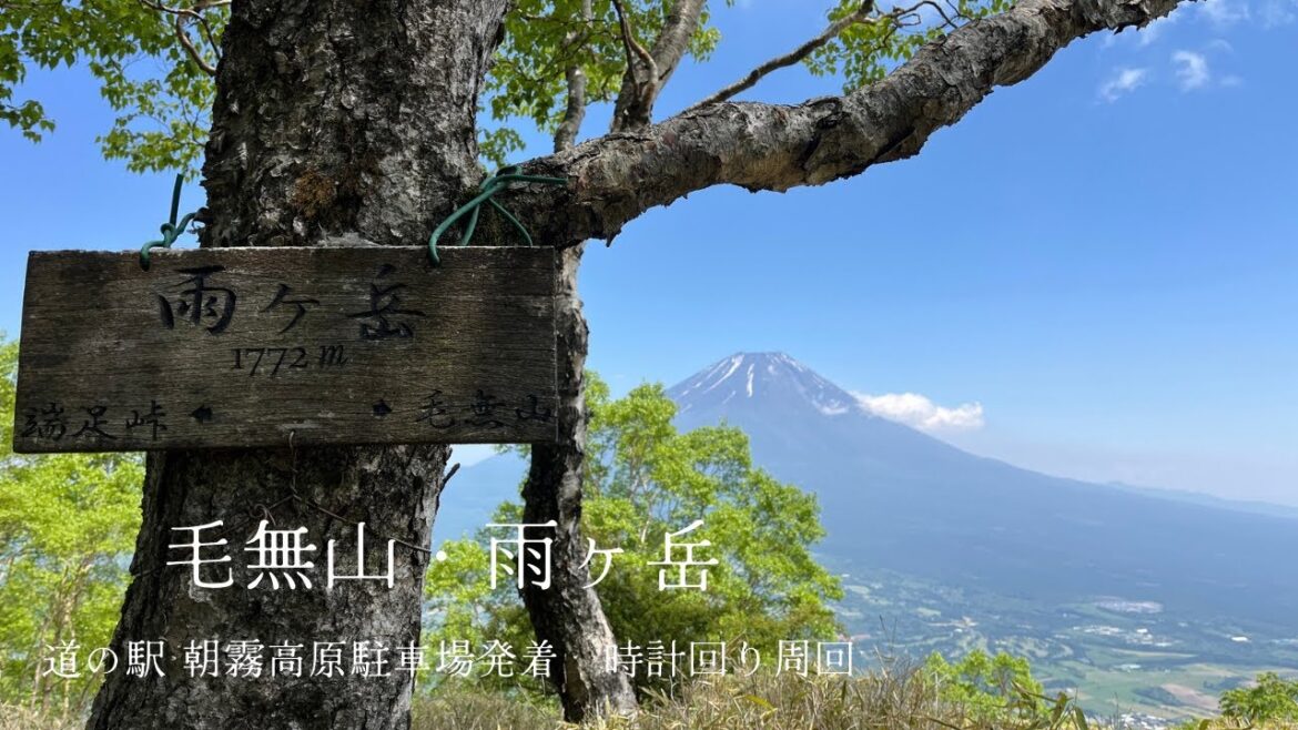 【毛無山・雨ヶ岳】道の駅 朝霧高原発着の時計回り周回　2025年6月上旬　静岡県・山梨県