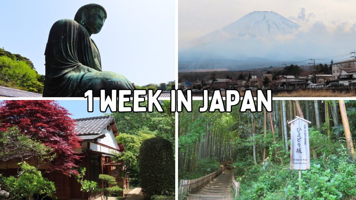 1 Week Solo in Japan | Visiting a Samurai Road, Cup Noodle Museum, Kamakura, Osaka Expo & More 1 Week Solo in Japan | Visiting a Samurai Road, Cup Noodle Museum, Kamakura, Osaka Expo & More