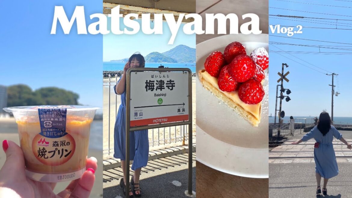마쓰야마 바이신지 여행 ep.2｜소금빵 맛집·고등어회·후지마트 쇼핑 하루코스 정리
