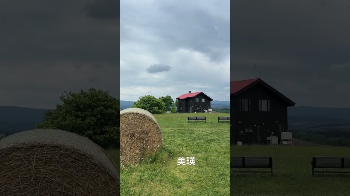 北海道の旅〜美瑛#国内旅行#北海道＃美瑛#shorts