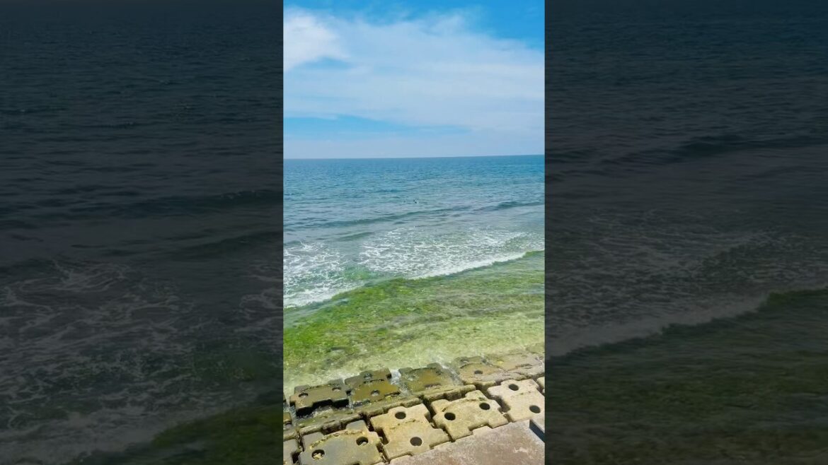 Miyagi Coast Panorama: Okinawa’s Pure Coastal Beauty Miyagi Coast Panorama: Okinawa’s Pure Coastal Beauty