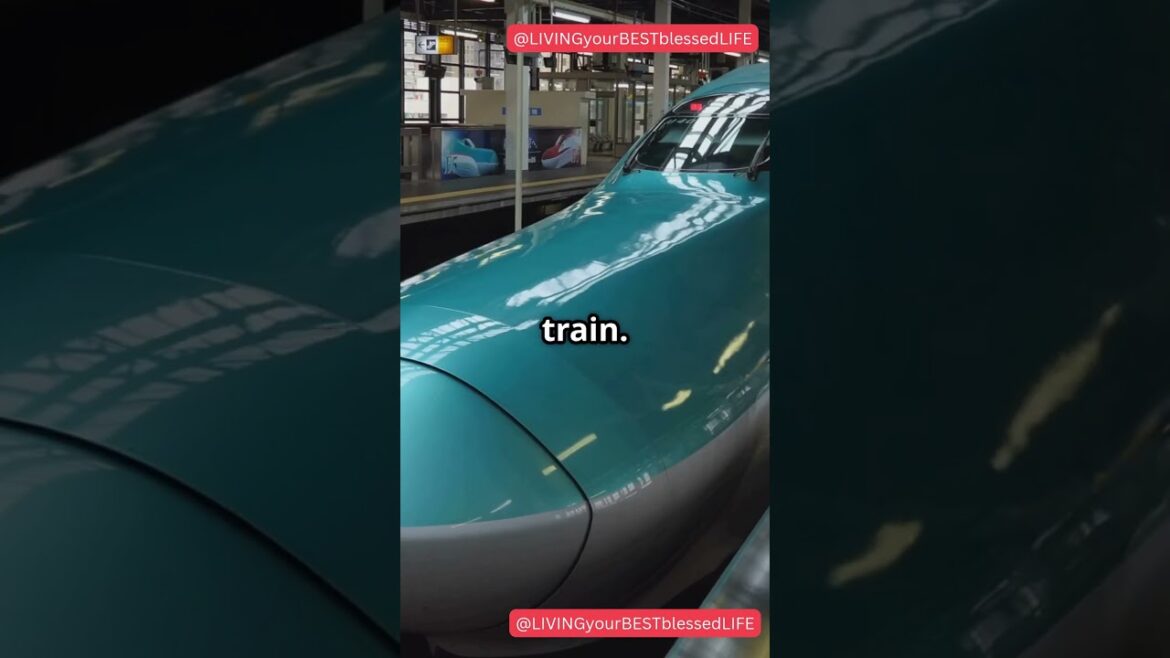 5 Places & Experiences You Must Have in Japan 5 Places & Experiences You *Must* Have in Japan