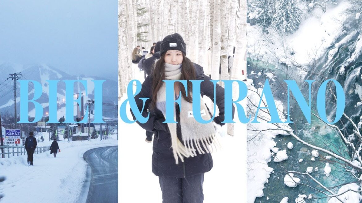 Hokkaido | Biei & Furano (Ningle Terrace, Lone Christmas Tree, Shirahige Waterfall) | Japan Vlog Hokkaido | Biei & Furano (Ningle Terrace, Lone Christmas Tree, Shirahige Waterfall) | Japan Vlog
