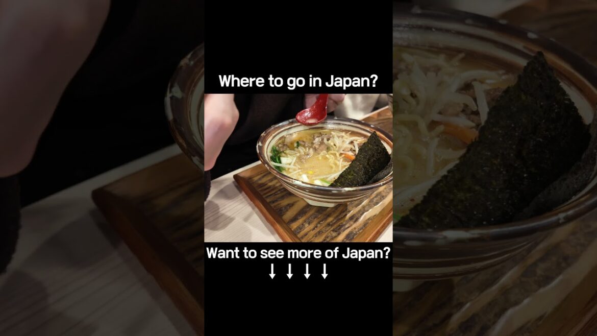 Favorite Restaurant Revisited in Kagoshima｜鹿児島で再訪したお気に入りの店｜再訪鹿兒島人氣美食#KagoshimaEats #FoodieTrip