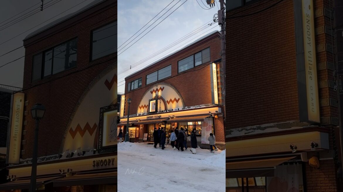 小樽一日游 Otaru day tour