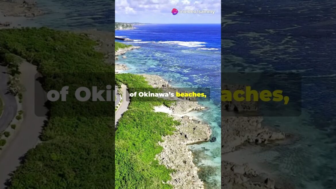 Discover Japan's Hidden Wonders in 4K!