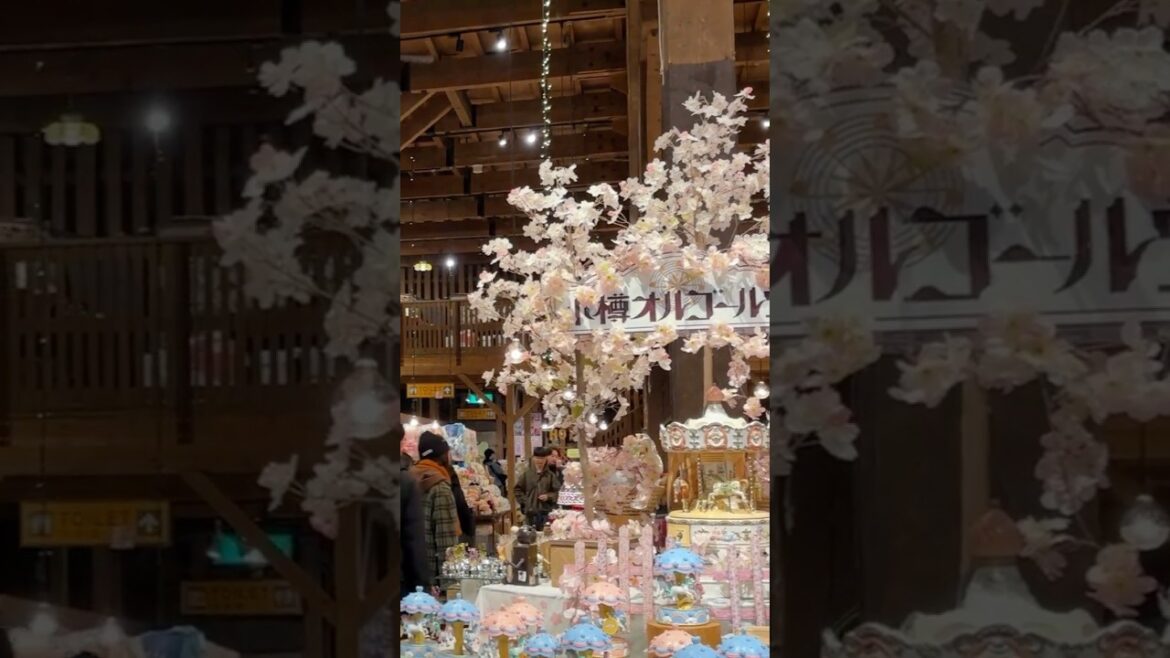 Otaru Music Box Museum🎵 #shorts #otaru #hokkaido #japan #japantravel #hiddengems #japanvlog #travel