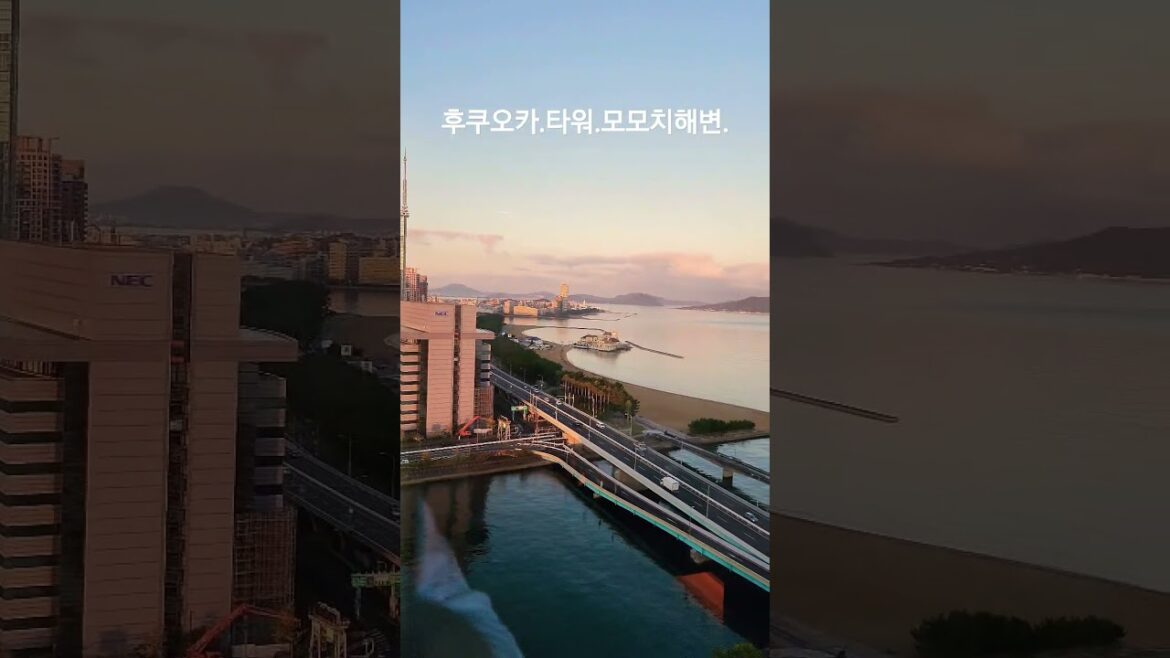 Fukuoka #travel #trip #tour #shortvideo #shorts #short