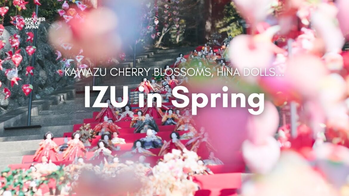 SHIZUOKA | Another Kind of Pink: Girls' Trip to Izu’s Early Spring