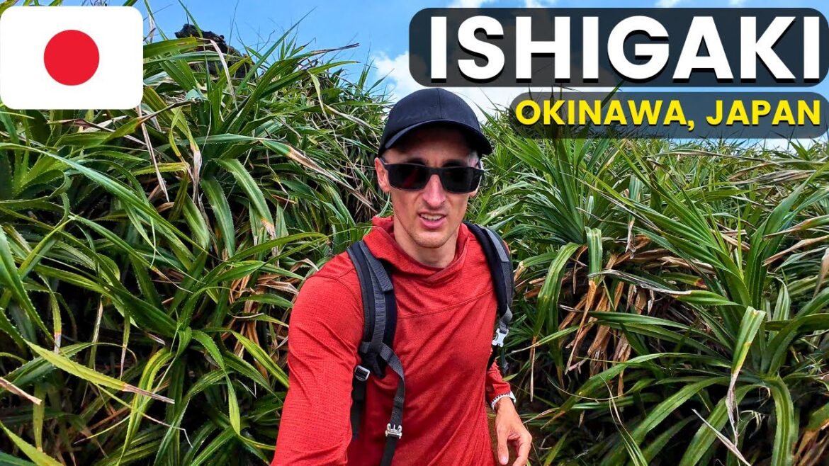 It Was a Great Day in Ishigaki (best views) It Was a Great Day in Ishigaki (best views)