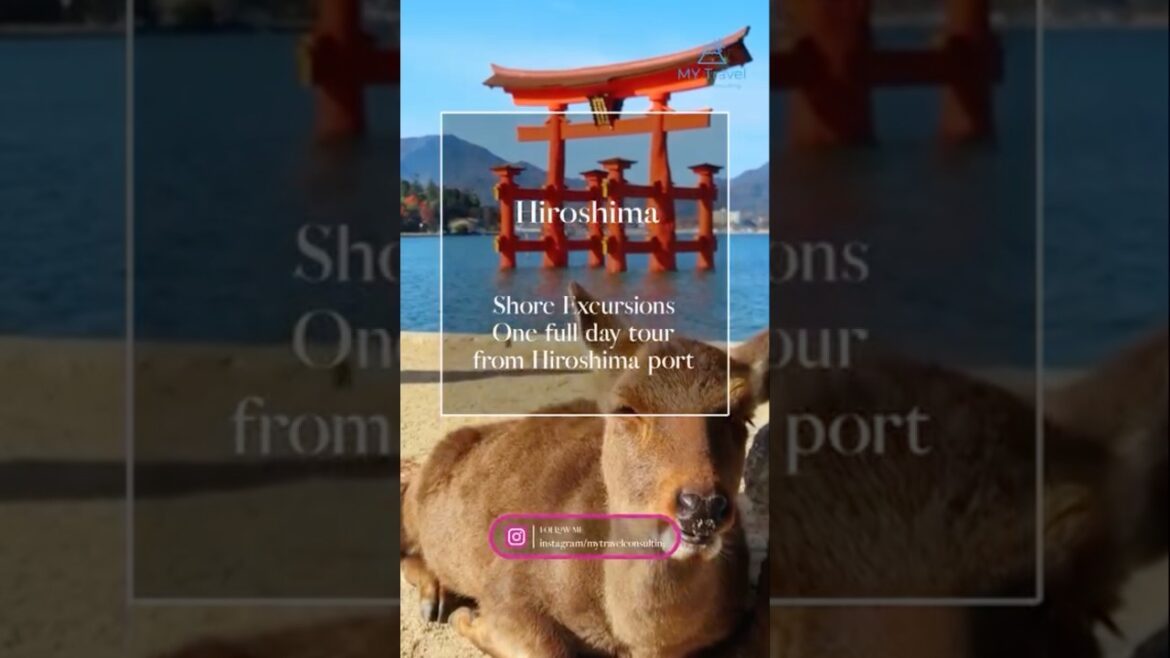 【Hiroshima】★Shore Excursions in Japan★One full day tour from Hiroshima port