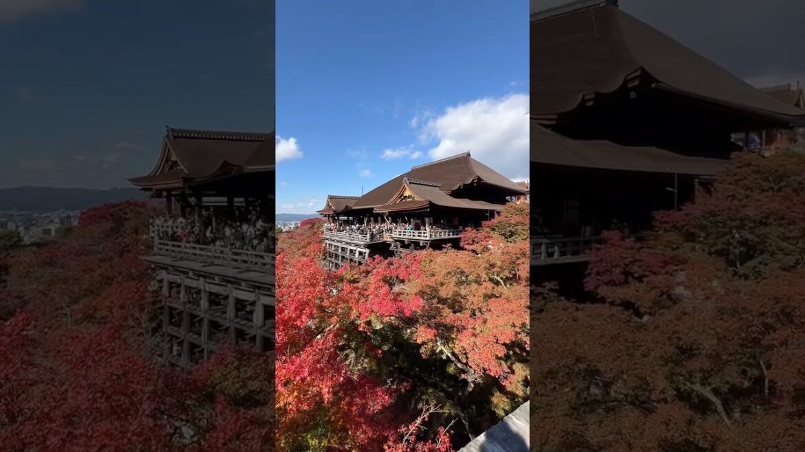 El templo más bonito y espectacular de Kioto: Kiyomizu-dera 🎌
