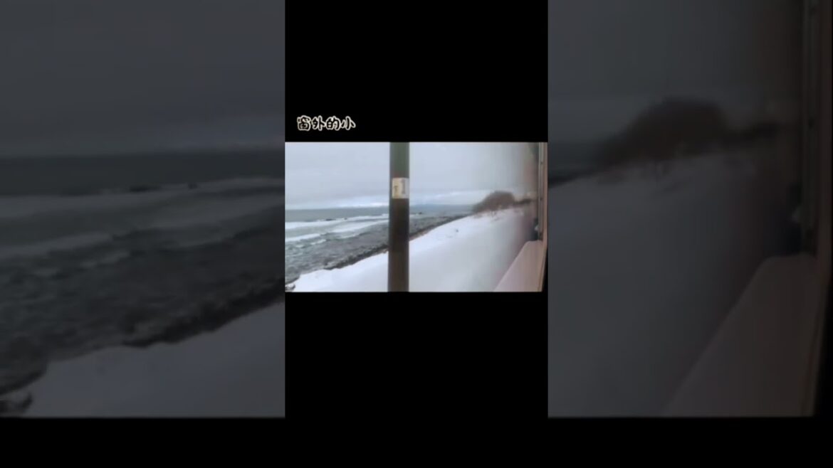 小樽後記 #旅行 #snow #北海道 #小樽 #火車 #travel #旅行 #自由行 #旅遊