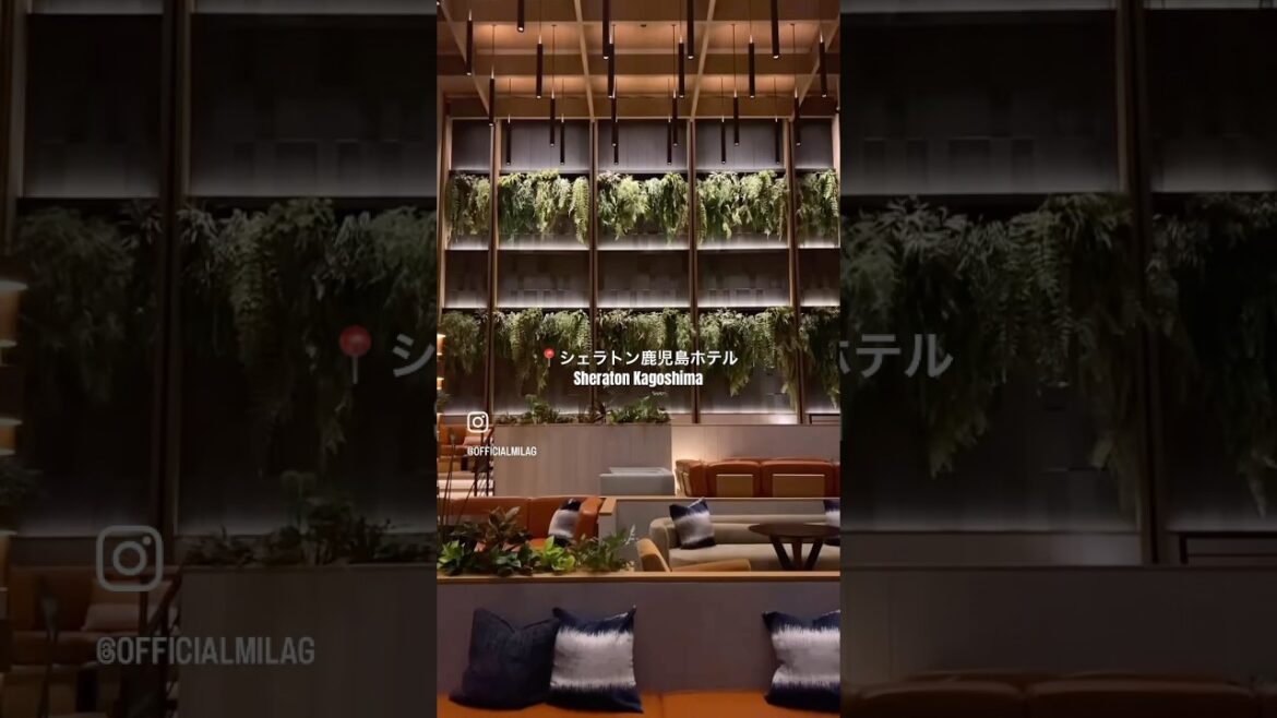 【シェラトン鹿児島ホテル】お部屋から桜島を一望できるよ🌸　#鹿児島　#九州　#桜島 #kagoshima #sheraton