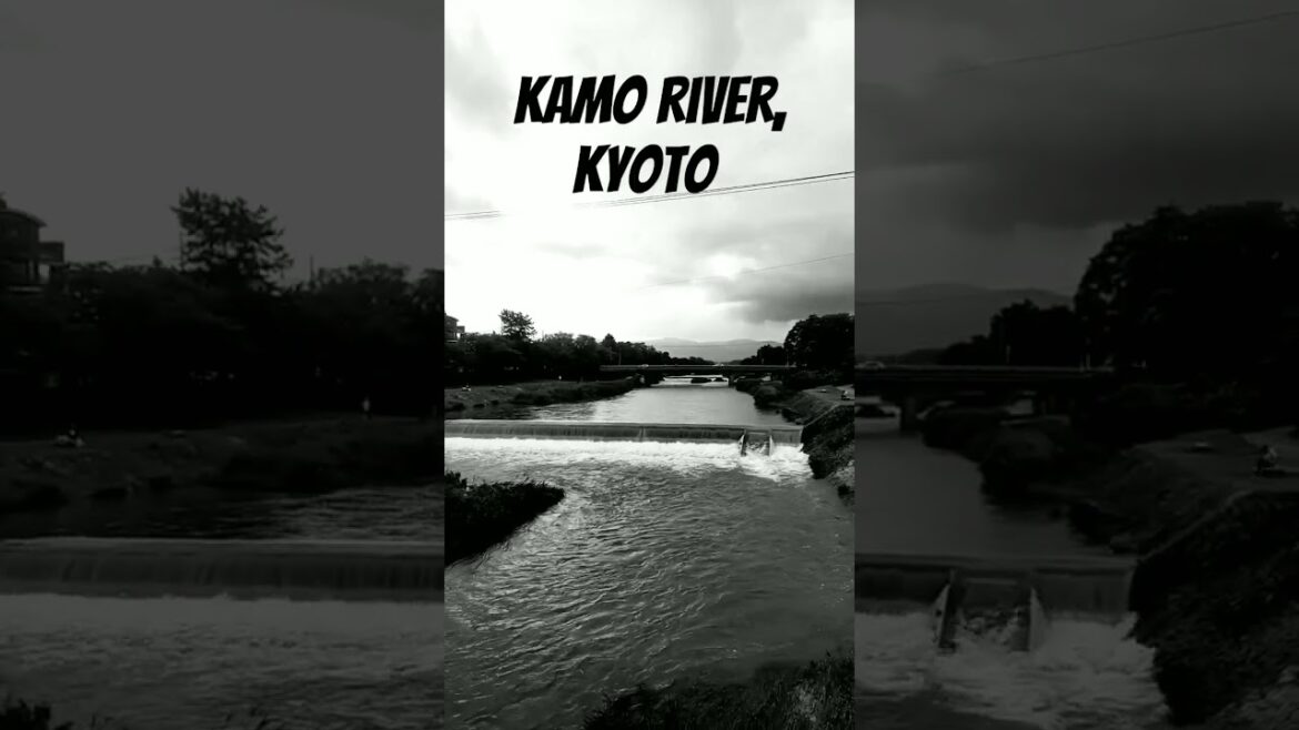 Kamo River, Kyoto, Japan #kamoriver #kyoto #japan #kawaramachi #kyototrip #japanese #japantravel