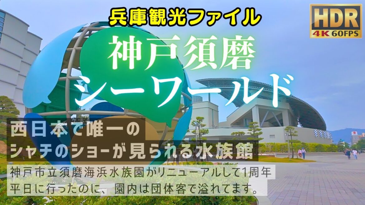 須磨シーワールド 神戸 1周年 #兵庫観光ファイル