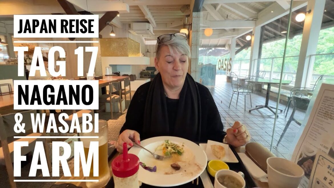 Japan Reise Tag 7 in Daioo Wasabi Farm in Nagano prefecture