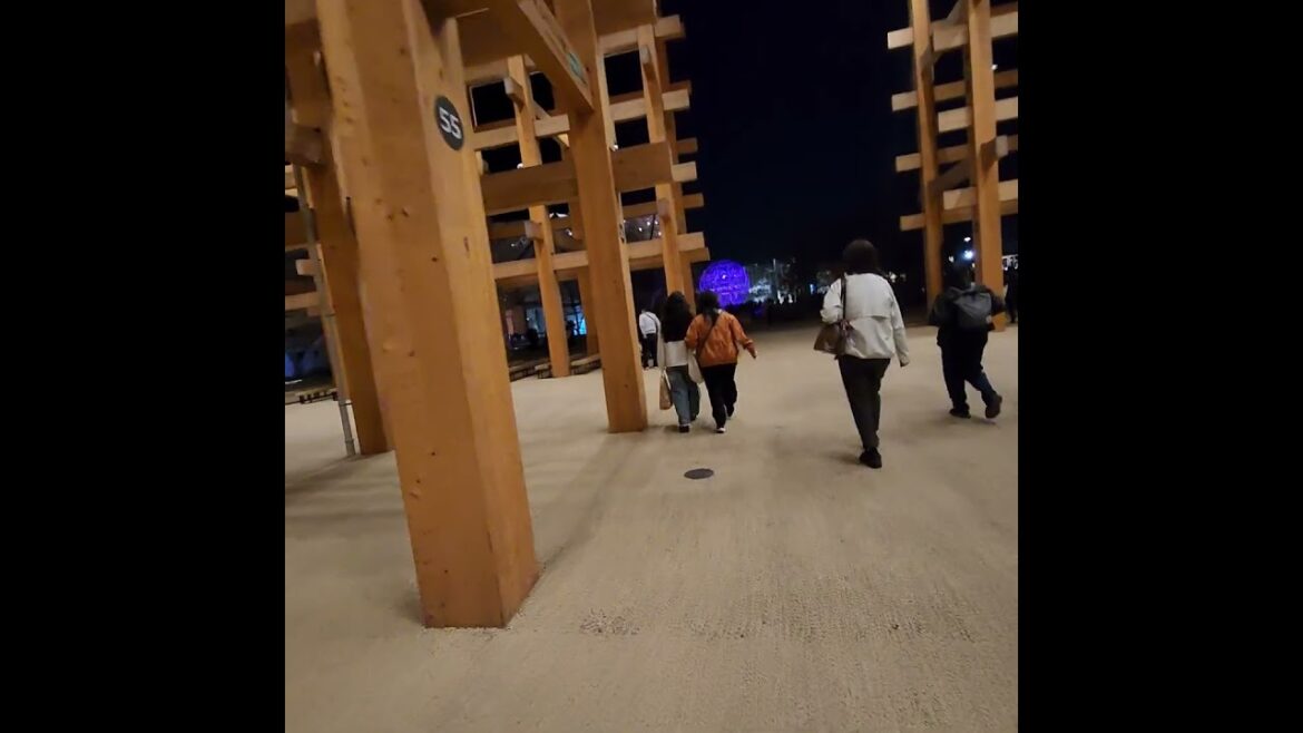 Great Ring Osaka Expo #japan #osakaexpo2025