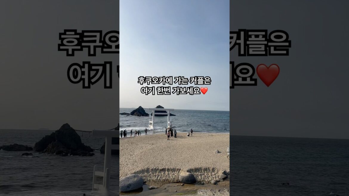 사랑이 이루어진다고 해요❤️ #여행 #일본 #후쿠오카 #바다 #사쿠라이후타미가우라메오토이와 #福岡　#夫婦岩​ #japan@chikisu