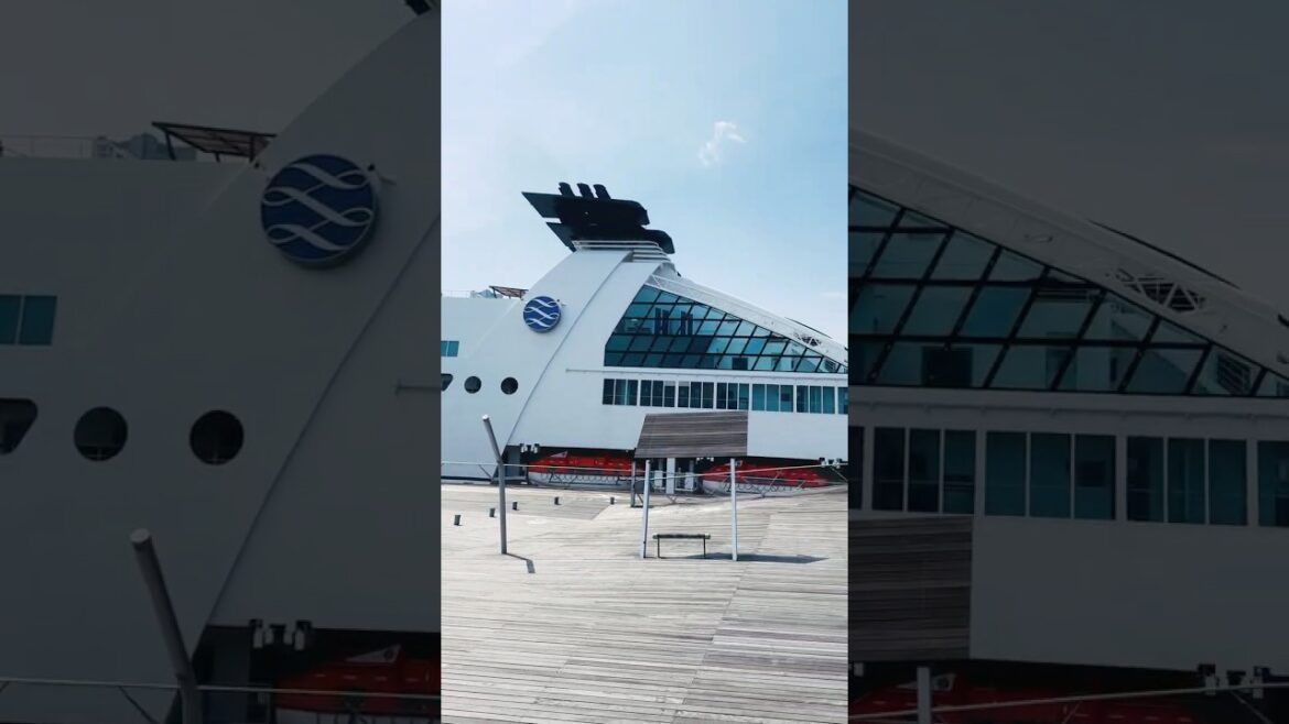 I saw a beautiful bride at Yokohama Cruise Port🇯🇵#japan #asia #beautiful #amazing #cruise I saw a beautiful bride at Yokohama Cruise Port🇯🇵#japan #asia #beautiful #amazing #cruise