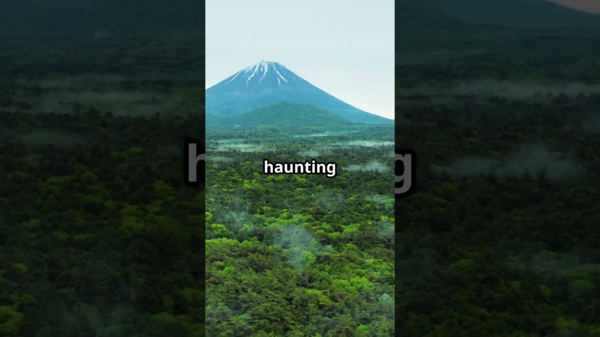 Aokigahara: Japan’s Most Beautiful Nightmare!🌲✨ #facts #travel#Aokigahara #japan Aokigahara: Japan’s Most Beautiful Nightmare!🌲✨ #facts #travel#Aokigahara #japan