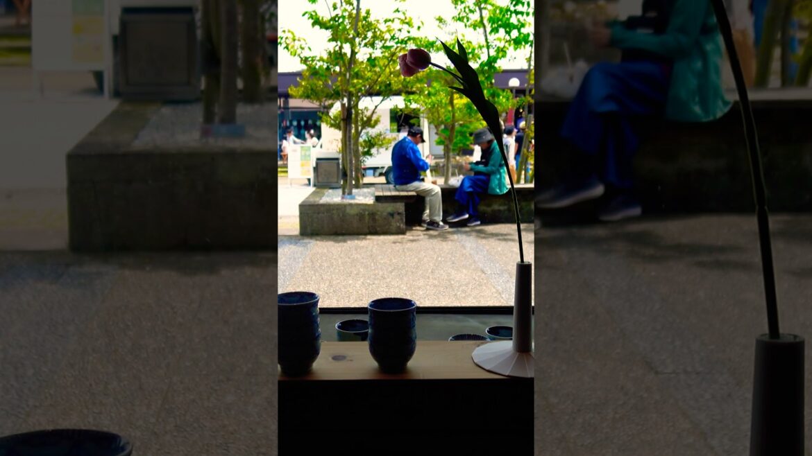 Saga Prefecture 2025#japan #travel #shorts #有田焼 #saga