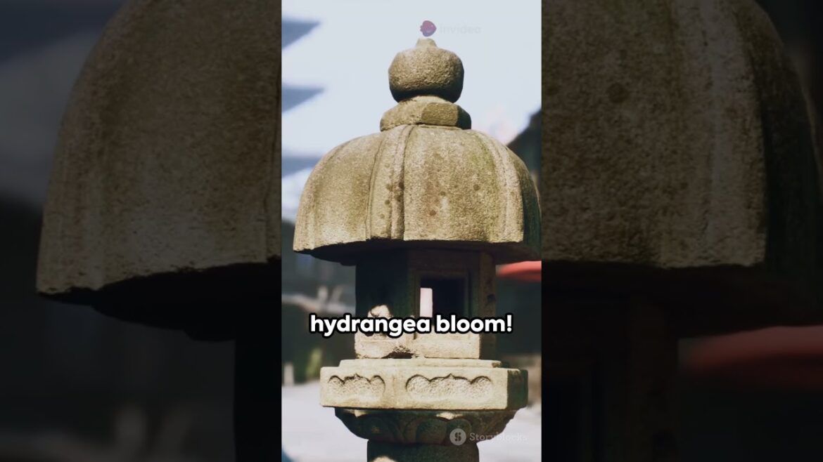 “Top 3 Places to Visit in Summer 2025” | #travelshorts #travelusa #travelshorts